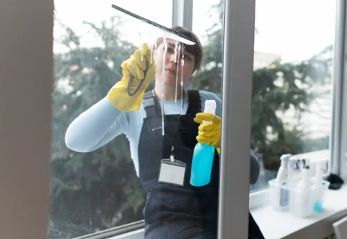 Nettoyage de vitres intérieures et extérieures à Frébuans